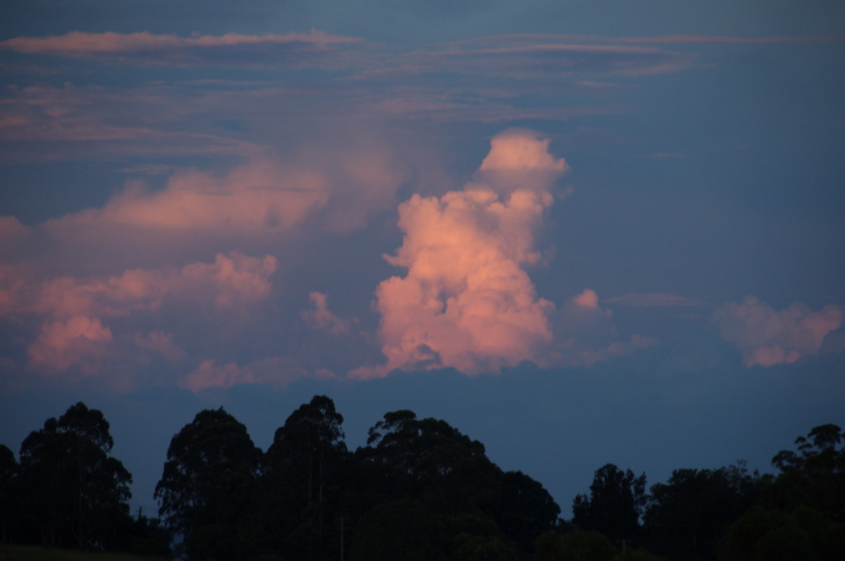 sunset sunset_pictures : McLeans Ridges, NSW   23 January 2009