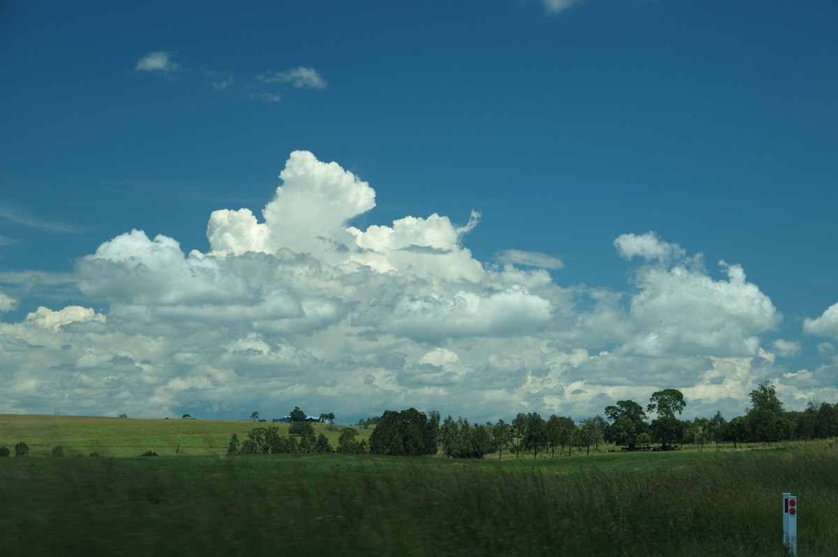 cumulus humilis : W of Casino, NSW   24 January 2009