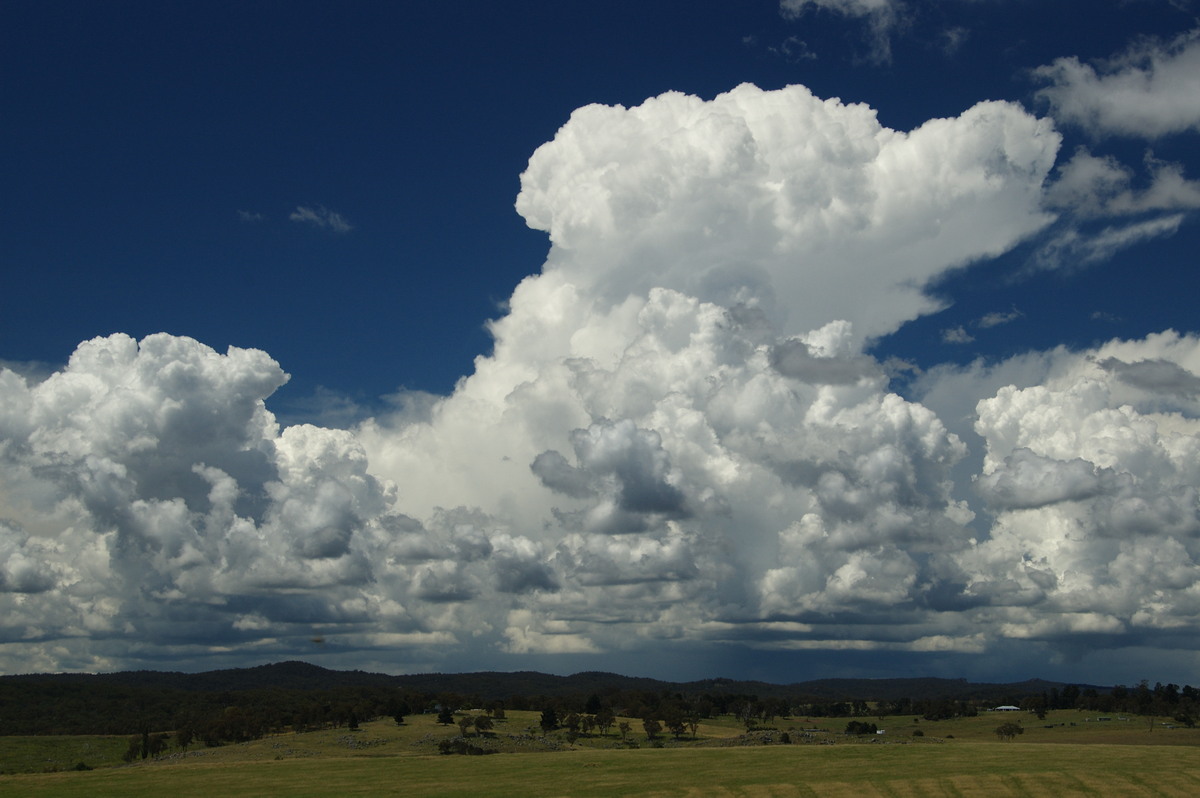 thunderstorm cumulonimbus_calvus : Tenterfield, NSW   24 January 2009