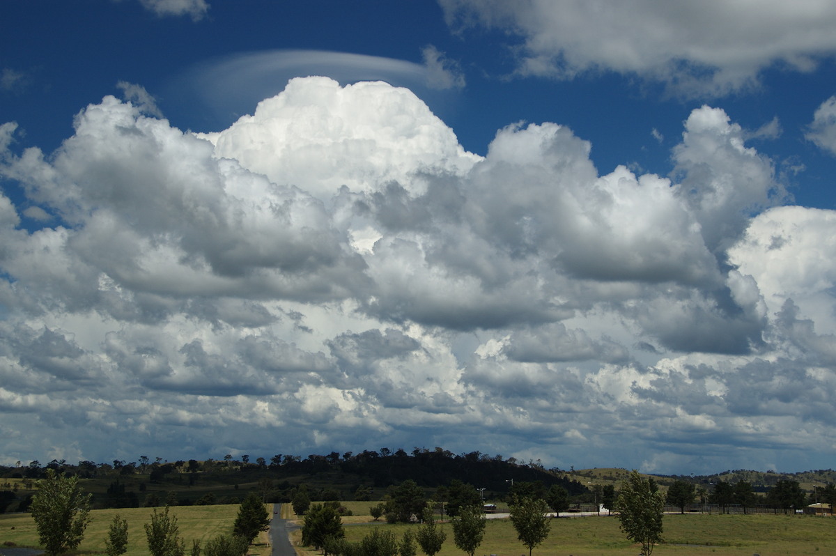 pileus pileus_cap_cloud : Tenterfield, NSW   24 January 2009