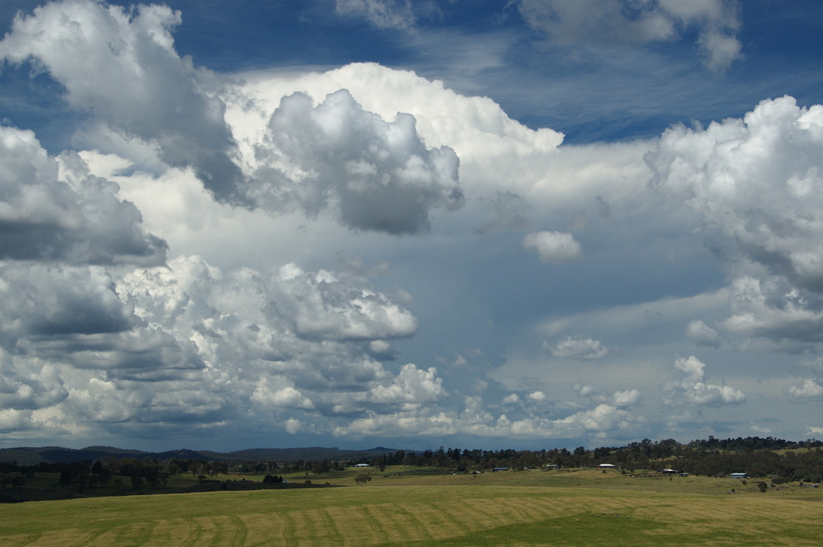 thunderstorm cumulonimbus_incus : Tenterfield, NSW   24 January 2009