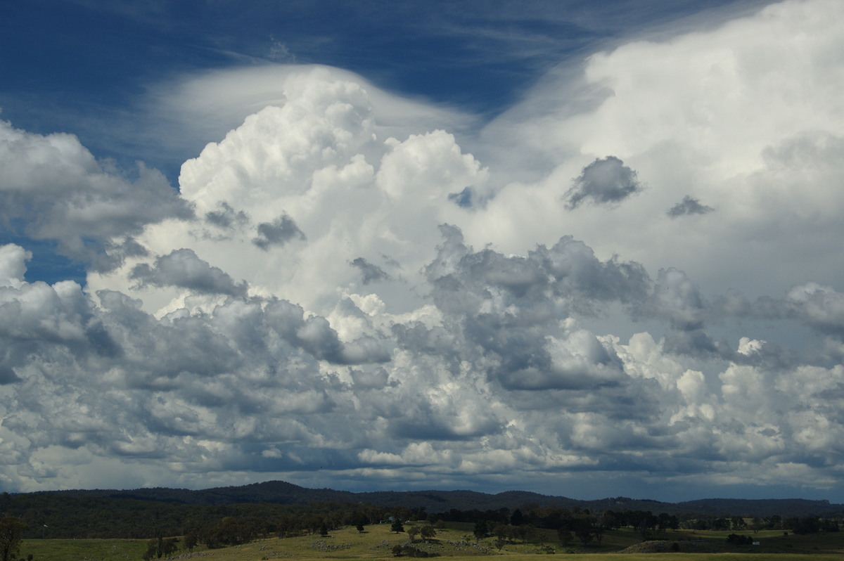 pileus pileus_cap_cloud : Tenterfield, NSW   24 January 2009