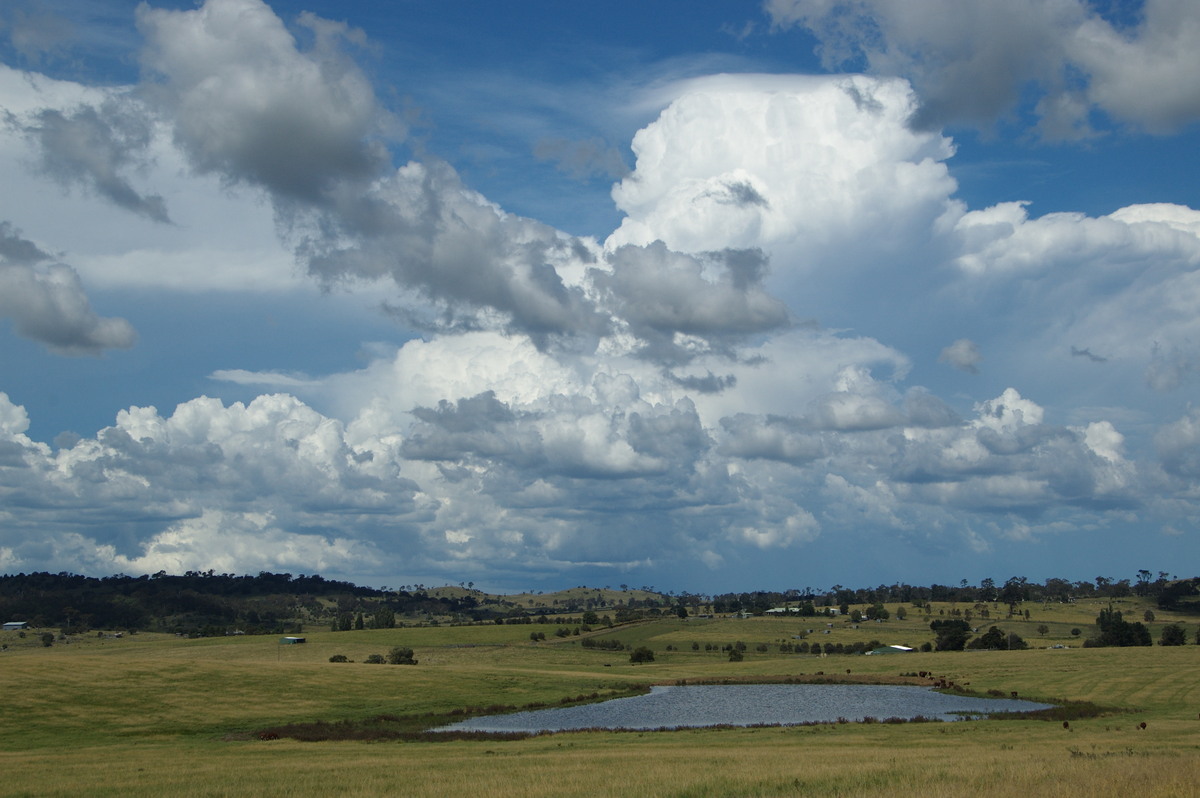 thunderstorm cumulonimbus_incus : Tenterfield, NSW   24 January 2009