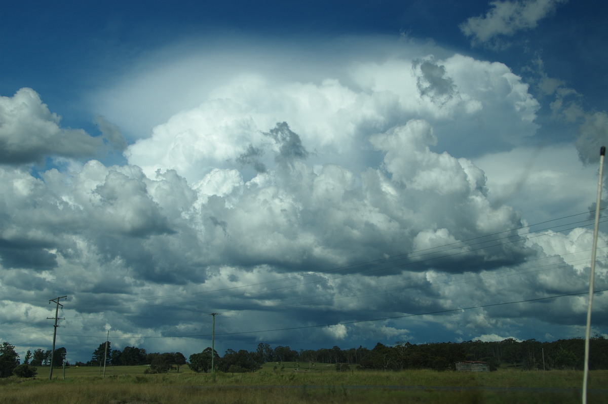 pileus pileus_cap_cloud : near Warwick, QLD   24 January 2009