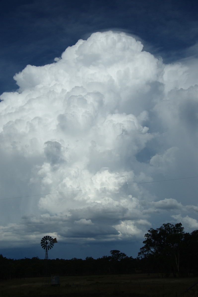 thunderstorm cumulonimbus_incus : near Warwick, QLD   24 January 2009