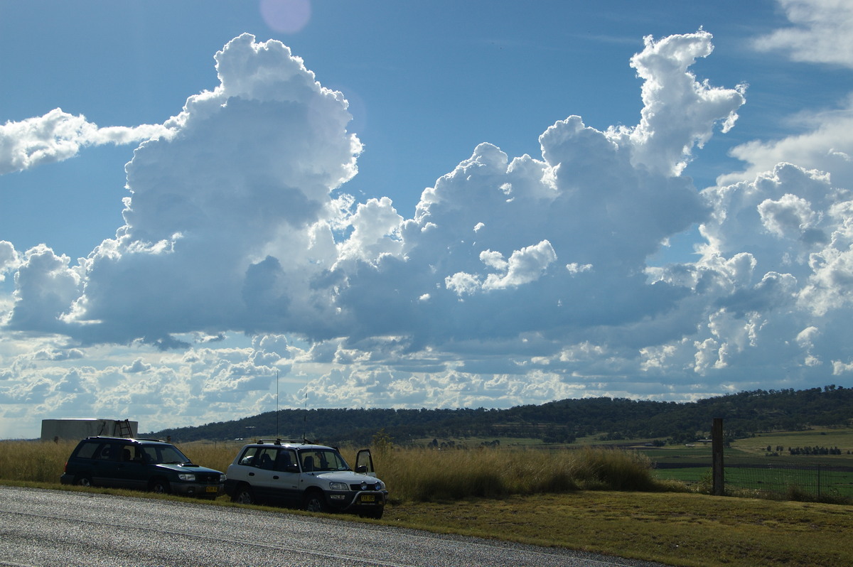 cumulus congestus : near Warwick, QLD   24 January 2009