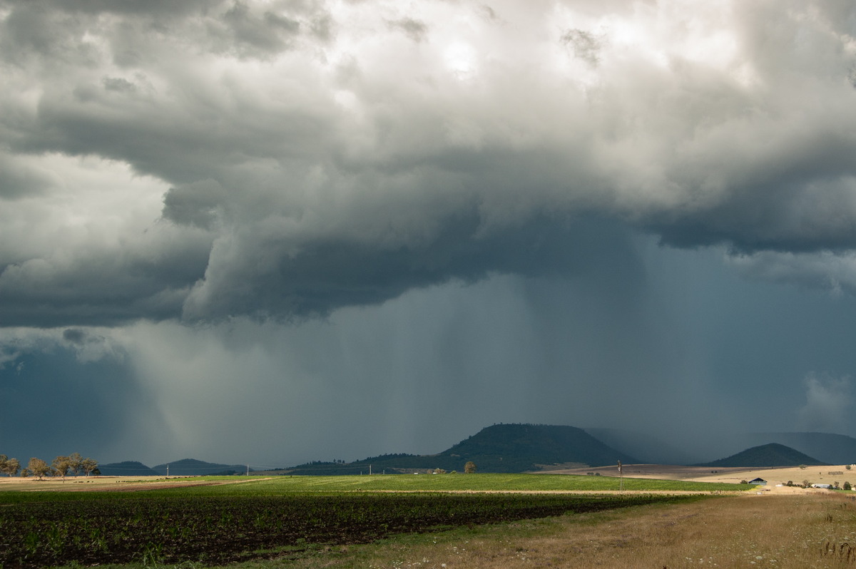 cumulonimbus thunderstorm_base : near Warwick, QLD   24 January 2009