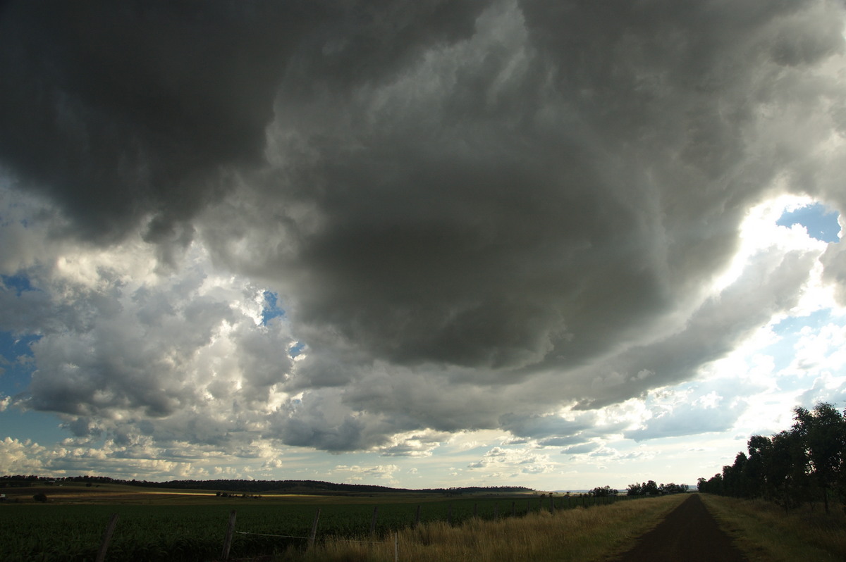 cumulonimbus thunderstorm_base : near Warwick, QLD   24 January 2009