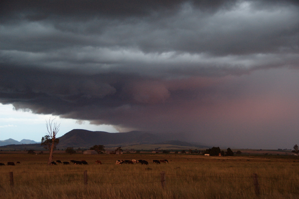 cumulonimbus thunderstorm_base : near Killarney, QLD   24 January 2009