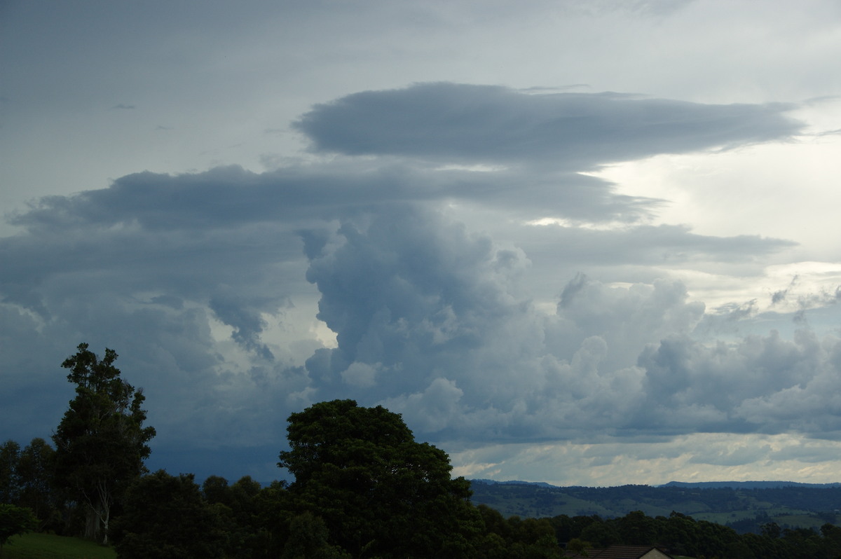 cumulus congestus : McLeans Ridges, NSW   19 February 2009