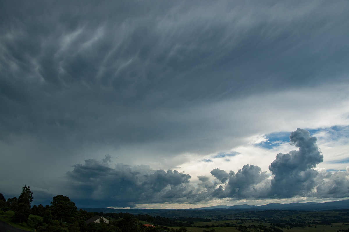 anvil thunderstorm_anvils : McLeans Ridges, NSW   19 February 2009