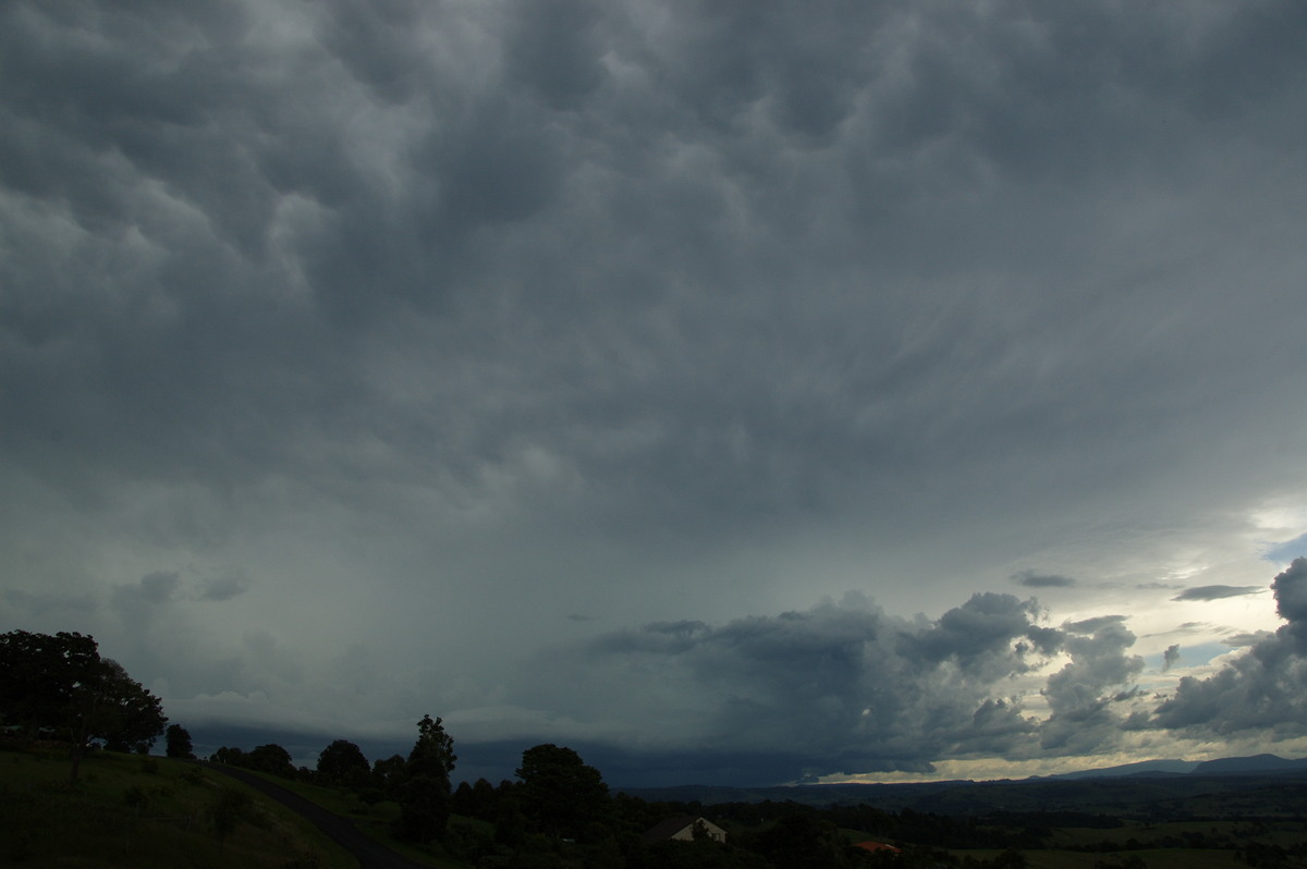 cumulonimbus thunderstorm_base : McLeans Ridges, NSW   19 February 2009