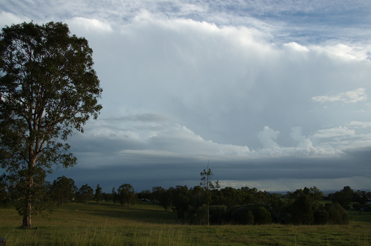 cumulonimbus thunderstorm_base : Junction Hill, NSW   15 March 2009