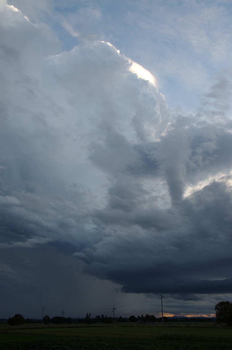 updraft thunderstorm_updrafts : Junction Hill, NSW   15 March 2009