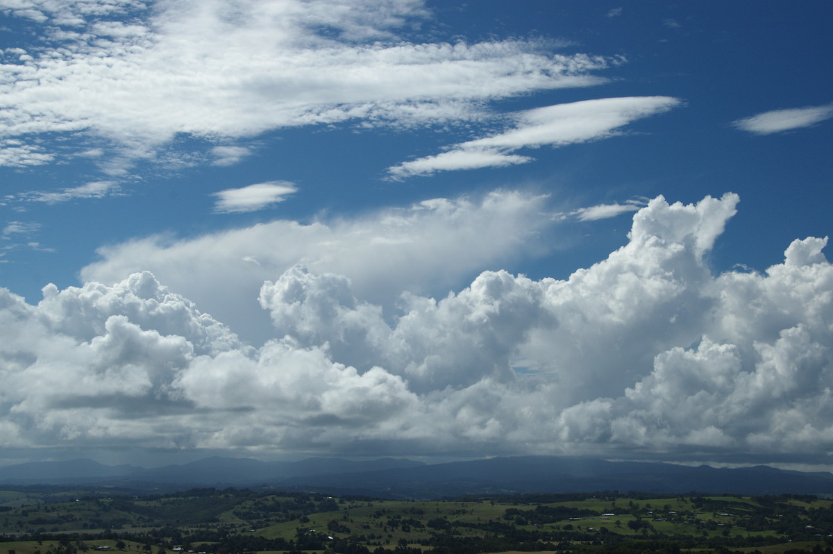 cumulus congestus : McLeans Ridges, NSW   20 March 2009