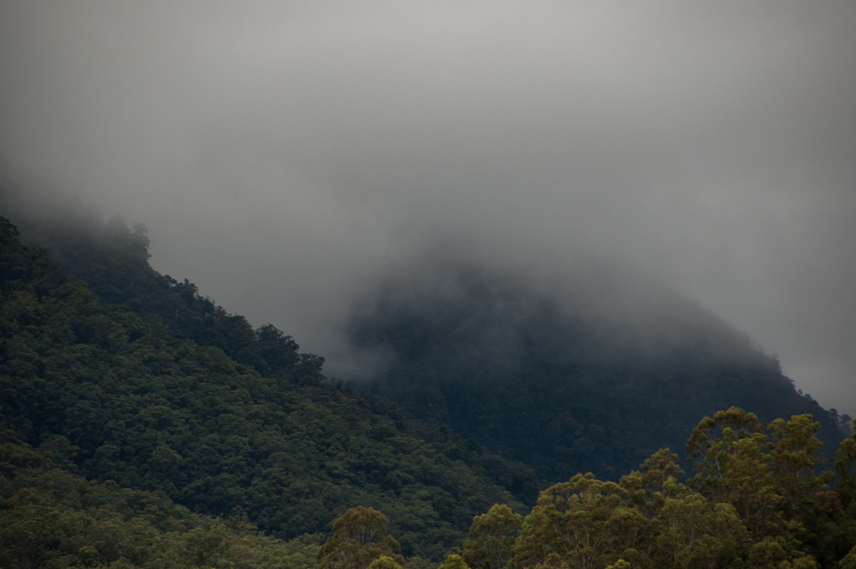 stratus stratus_cloud : Border Ranges, NSW   4 April 2009