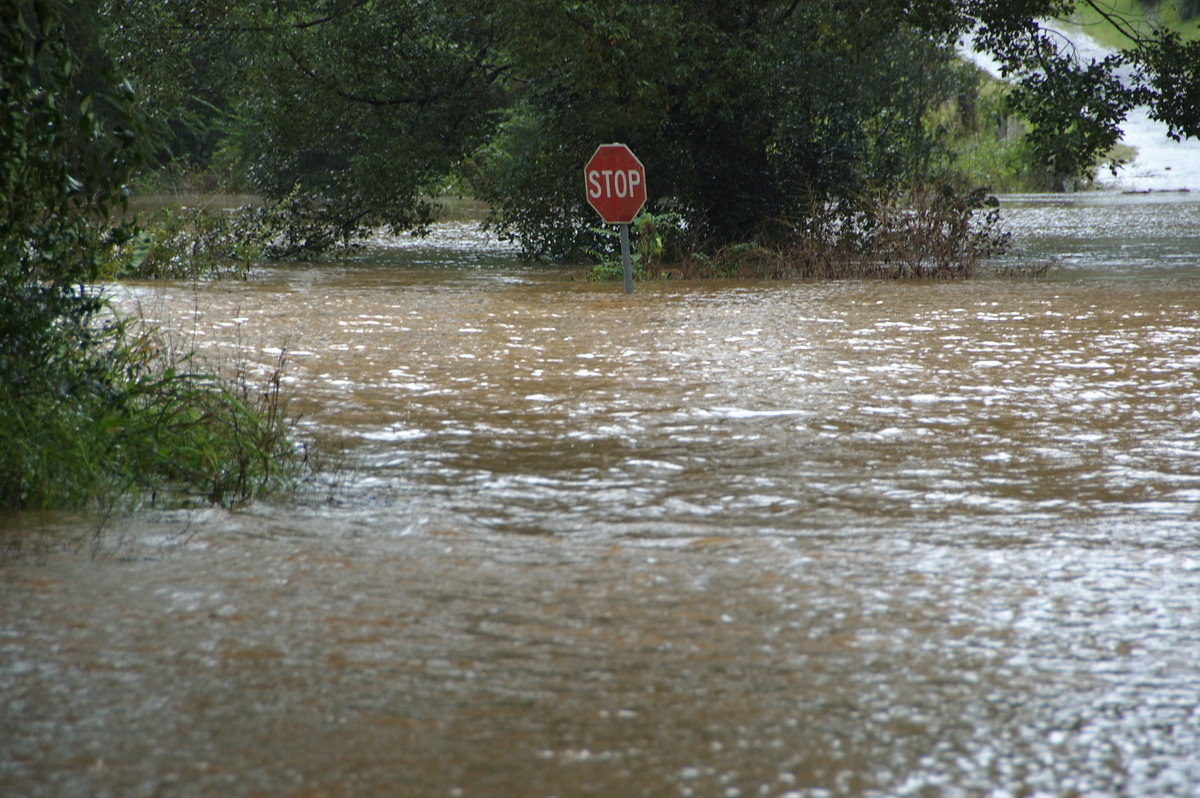 flashflooding flood_pictures : Booyong, NSW   21 May 2009