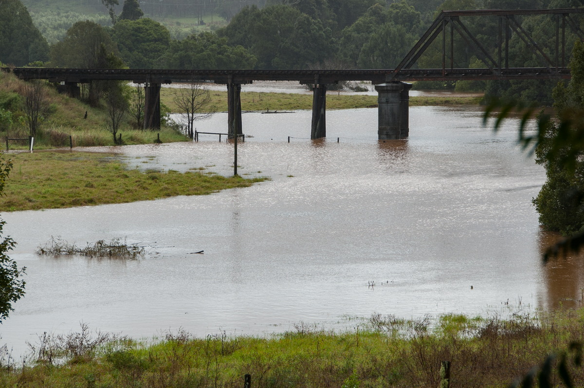 flashflooding flood_pictures : Booyong, NSW   21 May 2009