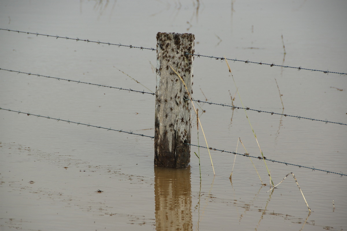 flashflooding flood_pictures : McLeans Ridges, NSW   22 May 2009