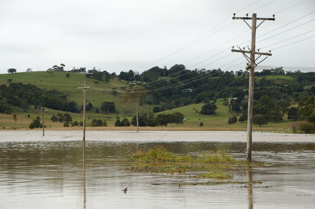 flashflooding flood_pictures : McLeans Ridges, NSW   22 May 2009