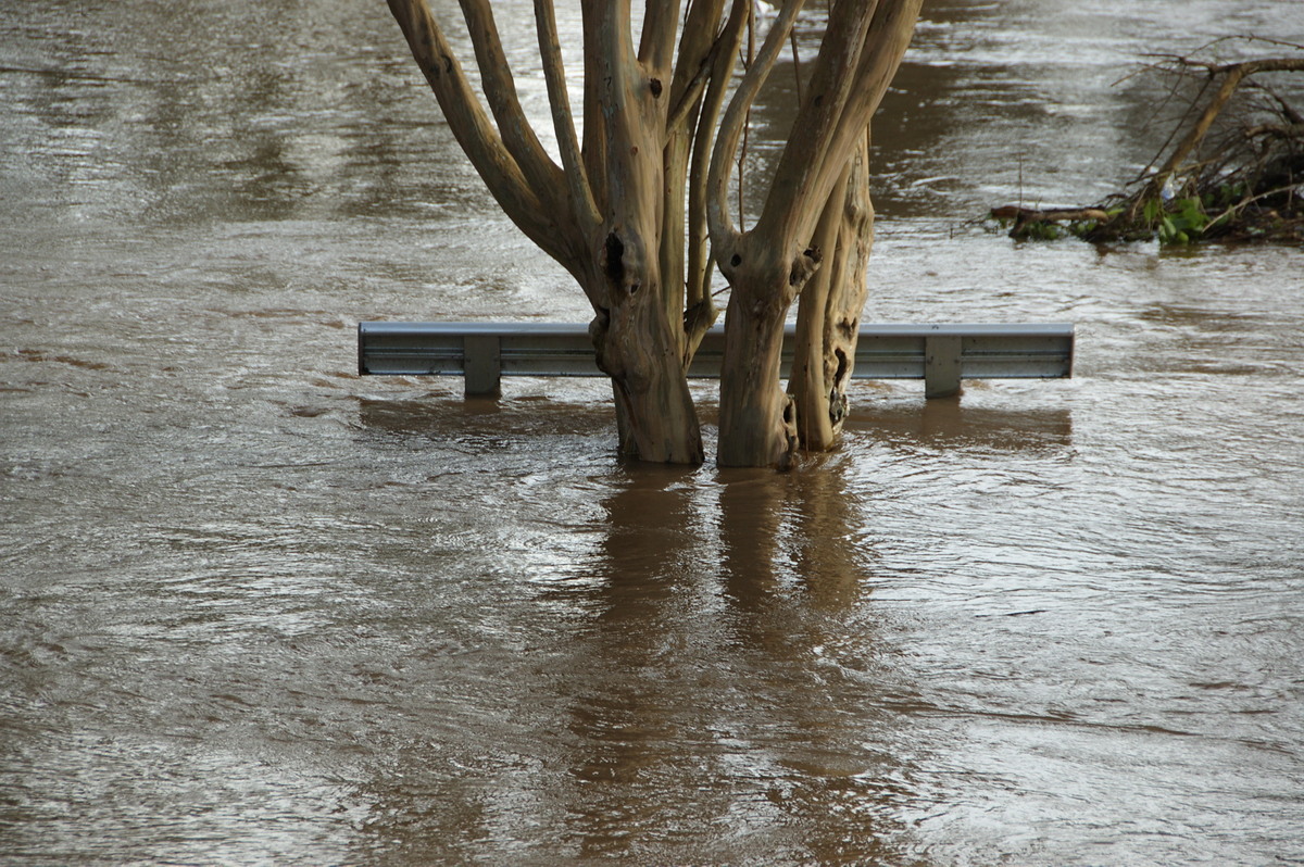 flashflooding flood_pictures : Lismore, NSW   22 May 2009