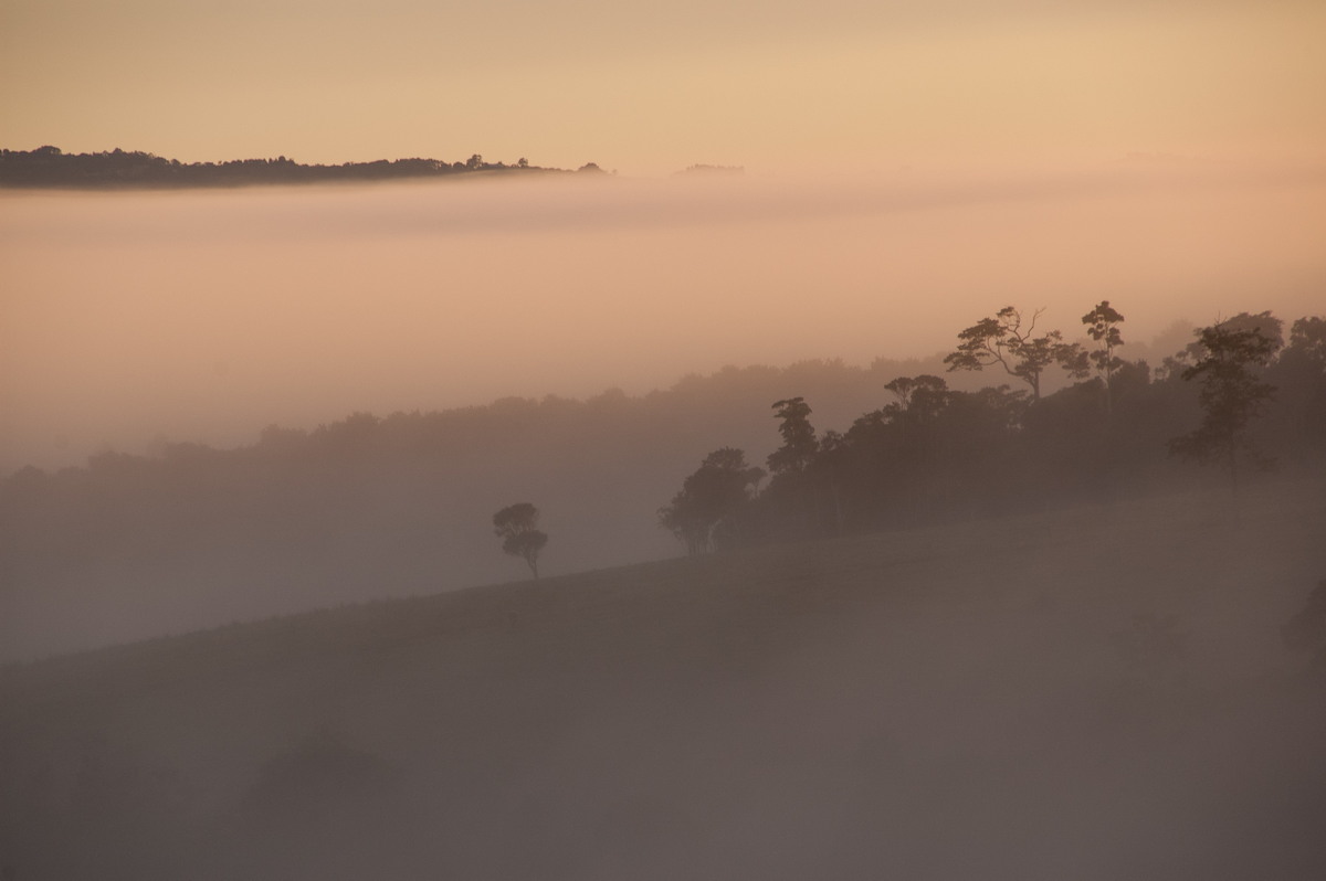 favourites michael_bath : McLeans Ridges, NSW   5 June 2009