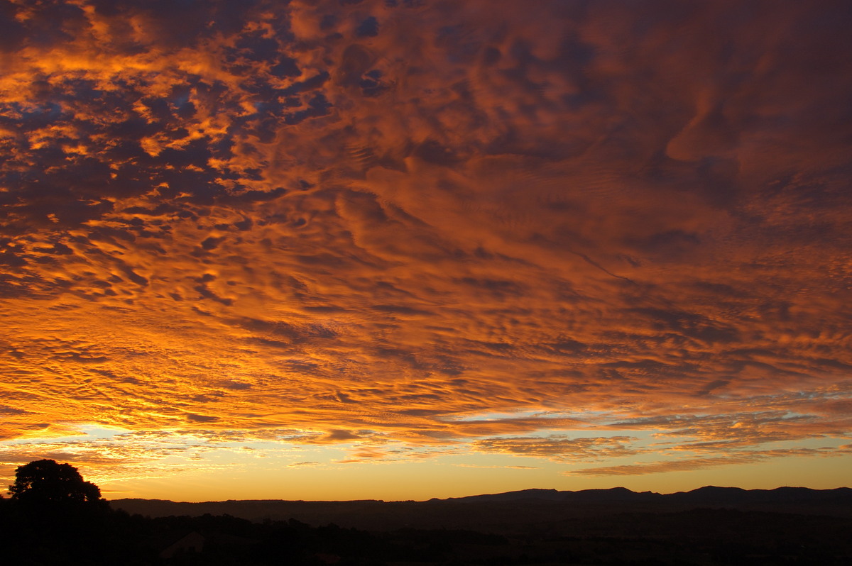 sunset sunset_pictures : McLeans Ridges, NSW   30 June 2009