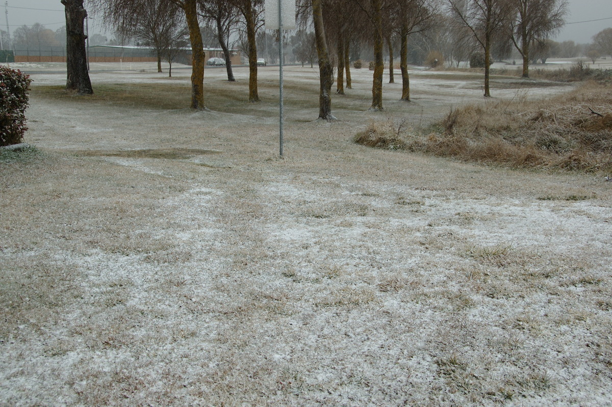 snow snow_pictures : Guyra, NSW   15 July 2009