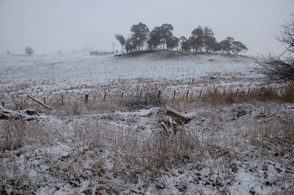 snow snow_pictures : Ben Lomond, NSW   16 July 2009