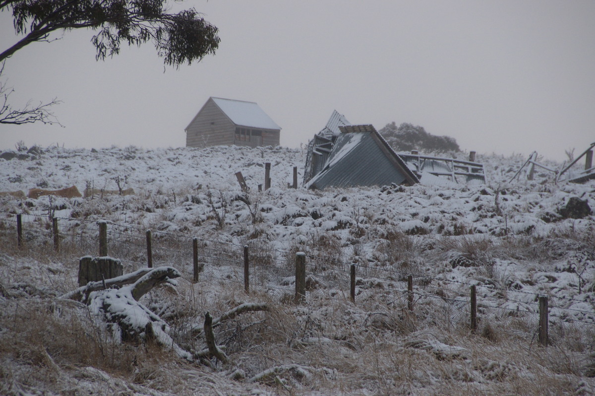 snow snow_pictures : Ben Lomond, NSW   16 July 2009