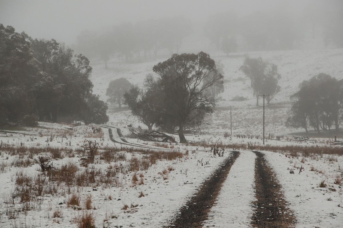 snow snow_pictures : Ben Lomond, NSW   16 July 2009