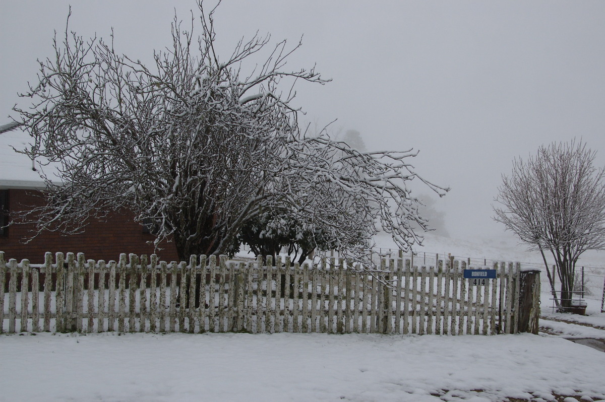 snow snow_pictures : Ben Lomond, NSW   16 July 2009