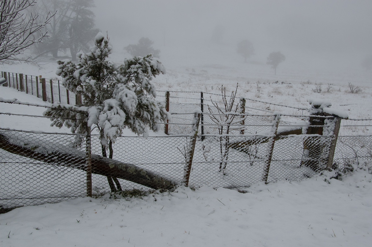 snow snow_pictures : Ben Lomond, NSW   16 July 2009