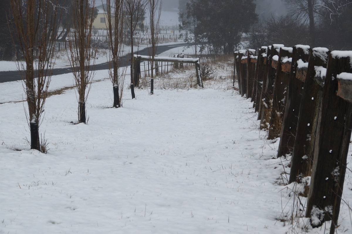 snow snow_pictures : Ben Lomond, NSW   16 July 2009