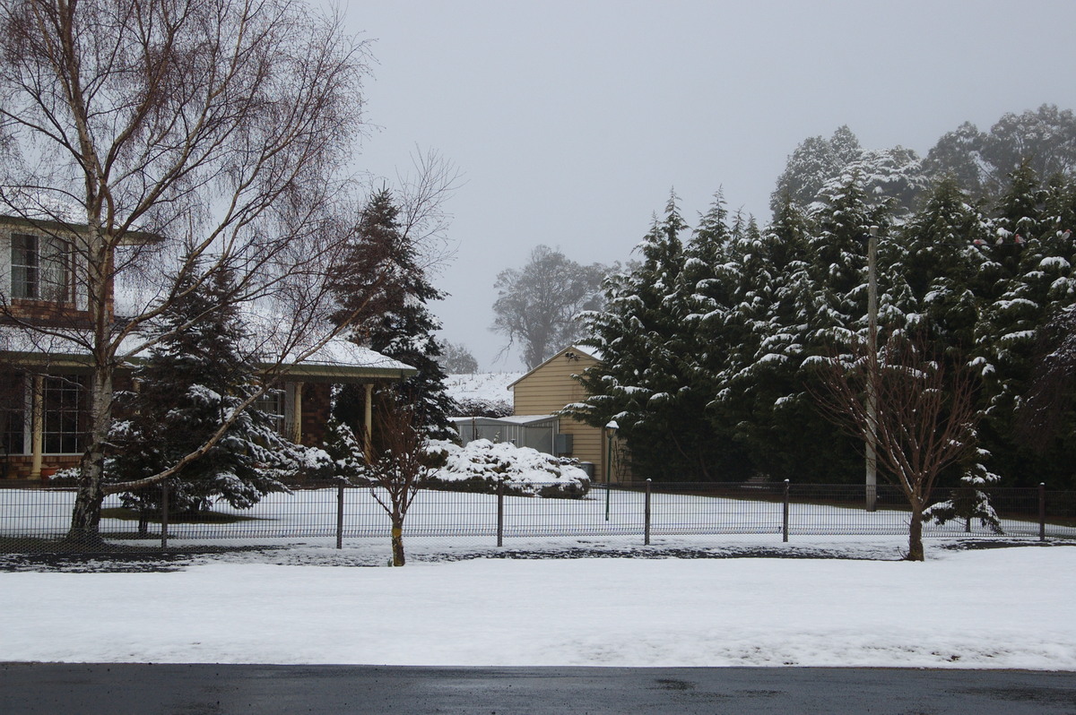 snow snow_pictures : Ben Lomond, NSW   16 July 2009