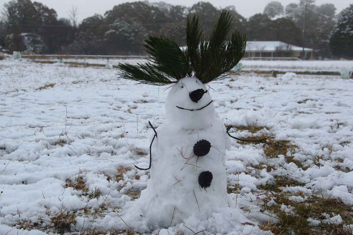 snow snow_pictures : Ben Lomond, NSW   16 July 2009