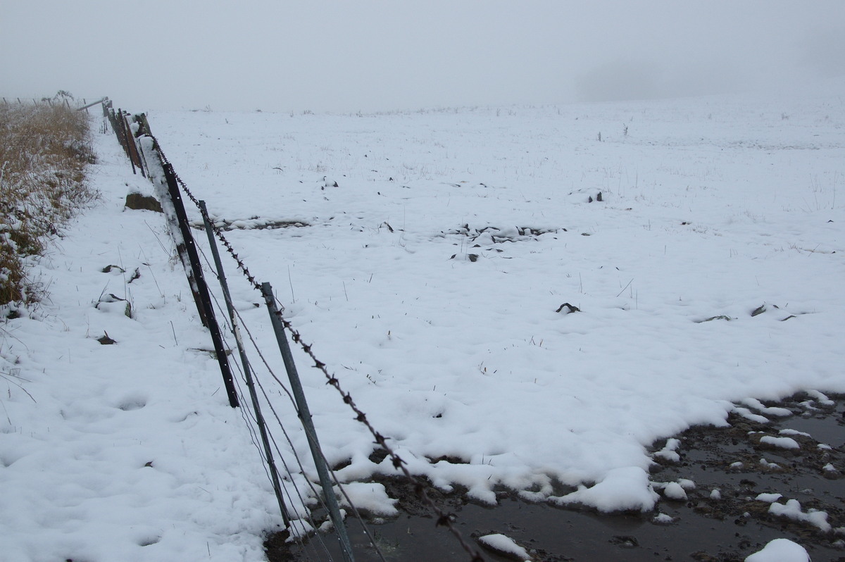 snow snow_pictures : Maybole, NSW   16 July 2009