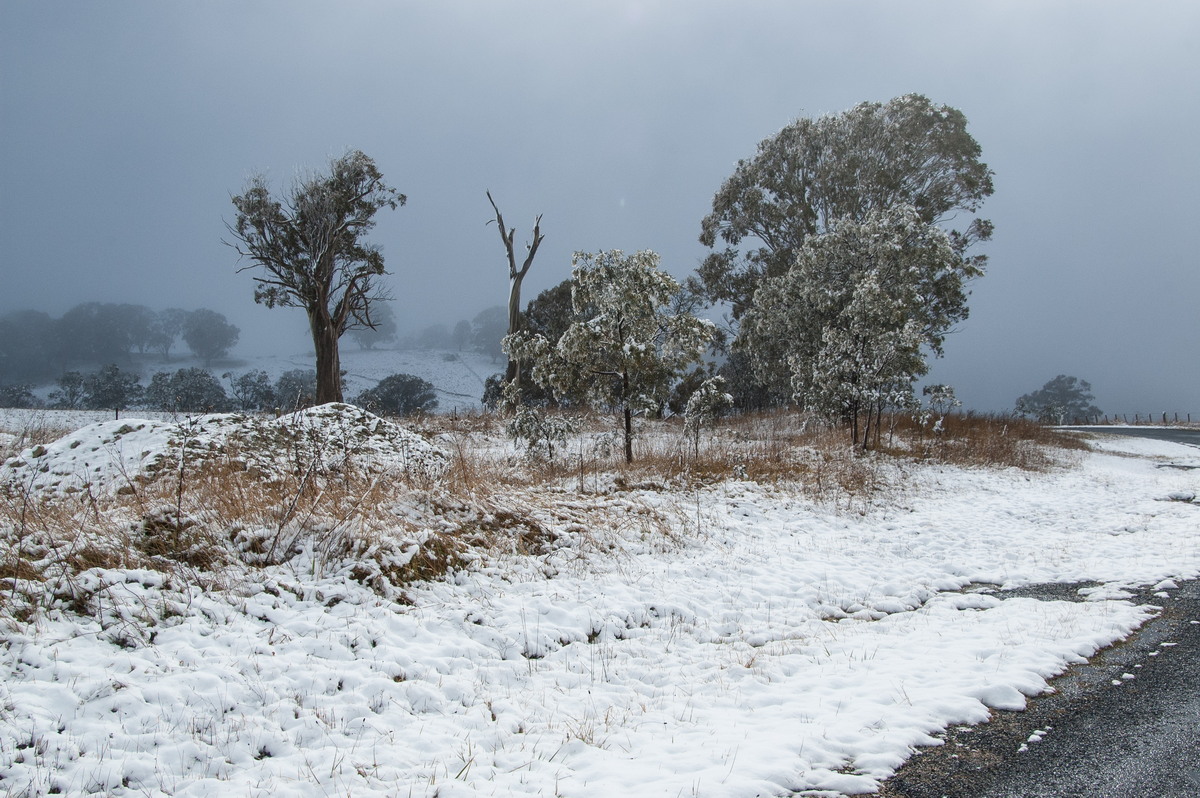 snow snow_pictures : Maybole, NSW   16 July 2009