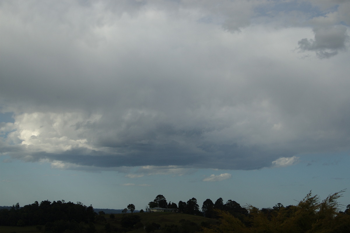 cumulus congestus : McLeans Ridges, NSW   8 September 2009
