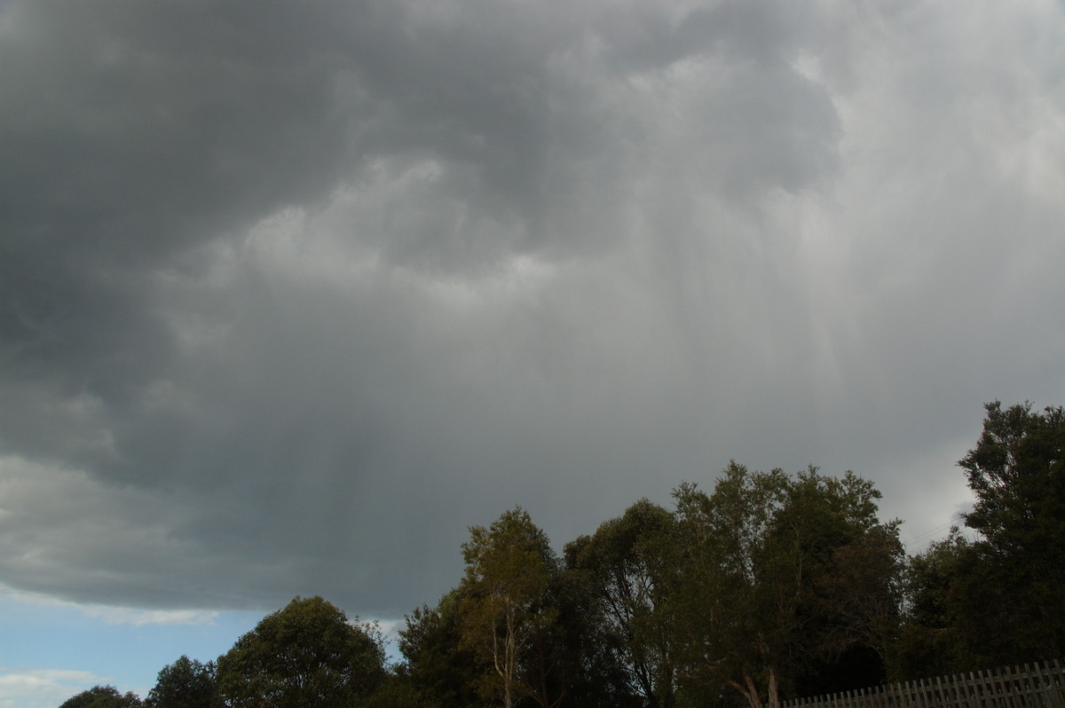 cumulonimbus thunderstorm_base : McLeans Ridges, NSW   8 September 2009