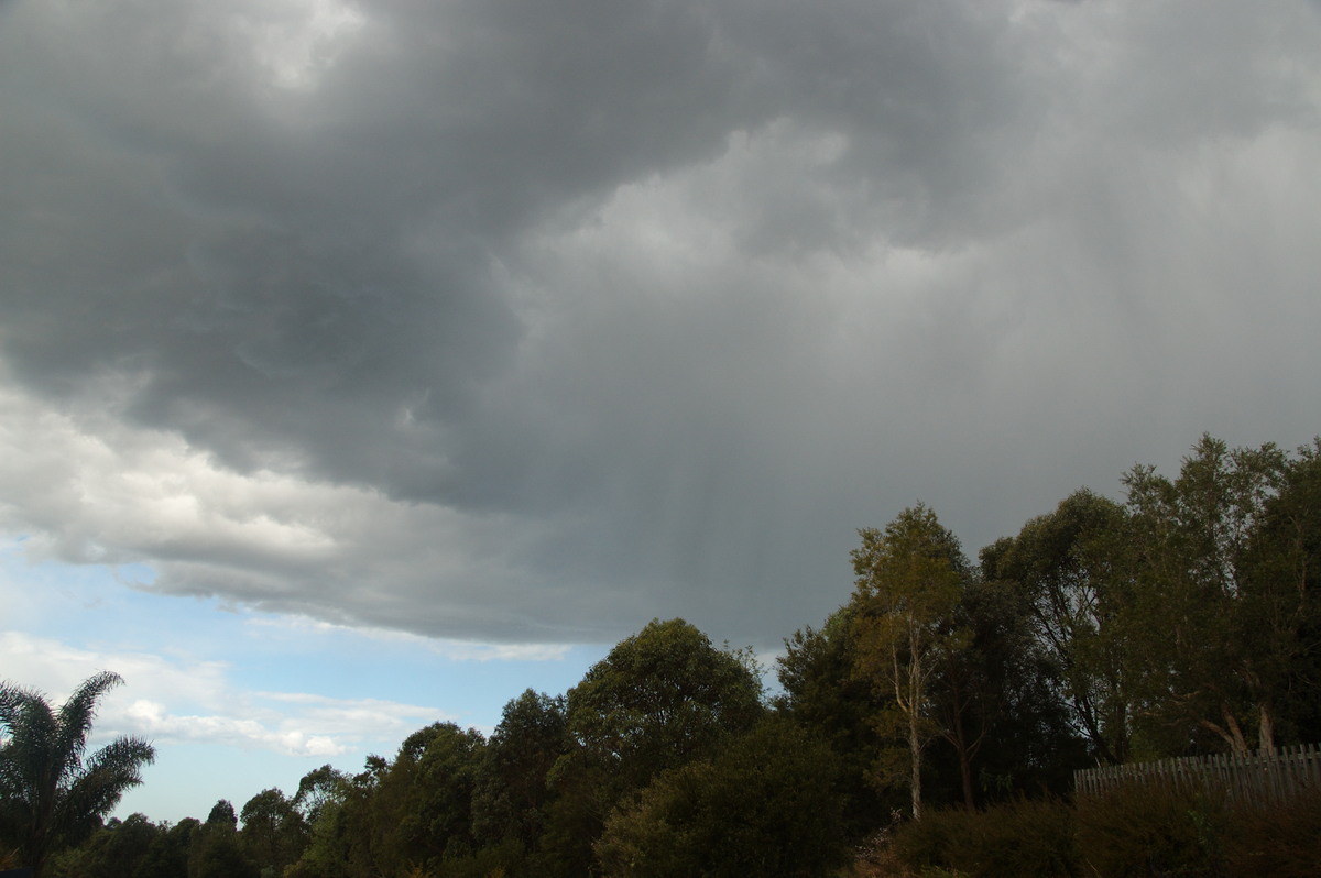 cumulonimbus thunderstorm_base : McLeans Ridges, NSW   8 September 2009