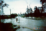 flood_pictures