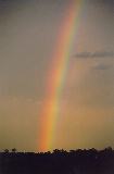 rainbow_pictures