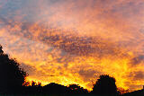 altocumulus_cloud