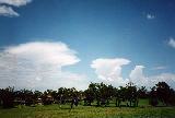 cumulonimbus_incus