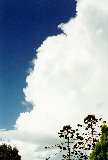 cumulonimbus_incus