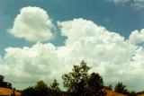 cumulonimbus_calvus