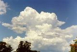 cumulonimbus_calvus