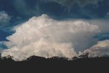 cumulonimbus_incus