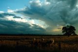 Purchase a poster or print of this weather photo